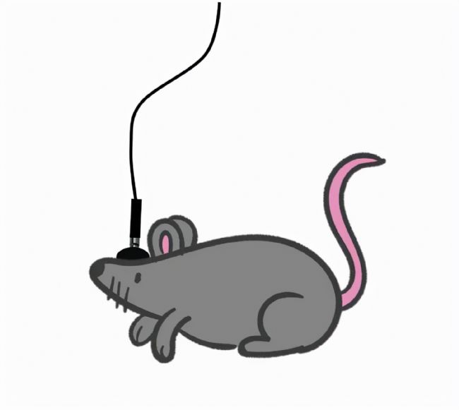 xwӛ䛌ĺĲ_Чʵ̖ݔ