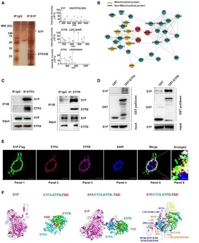 CAOPC²MBTPS1²C