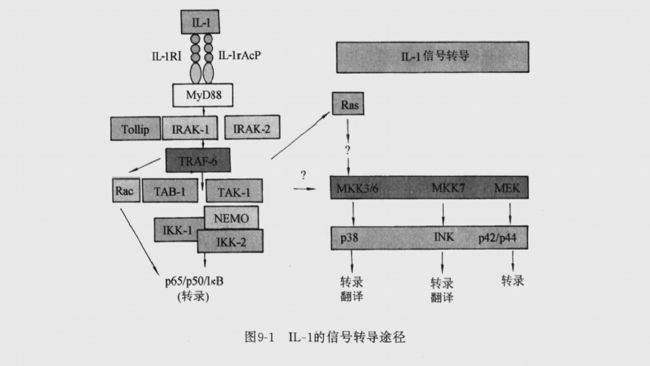 ׼(x)- 1̖D(zhun)(do);