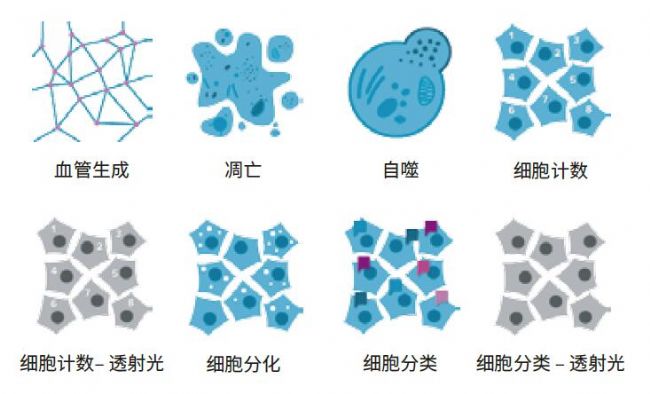 成像系統