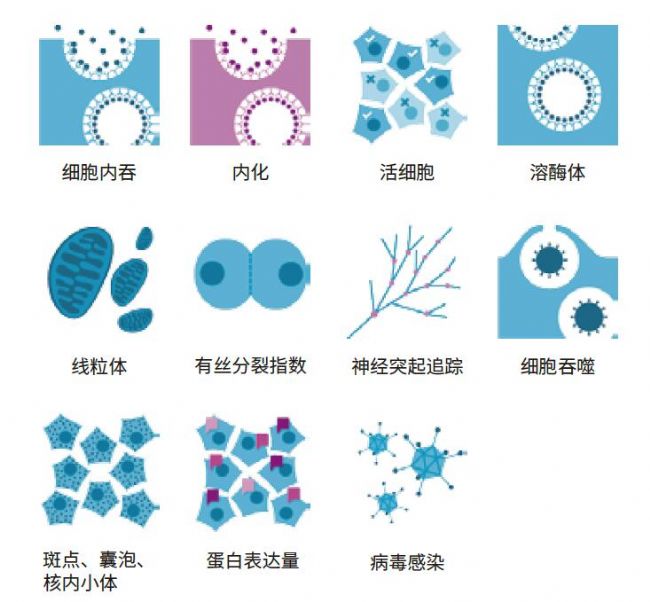 成像系統