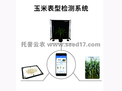 玉米表型檢測系統