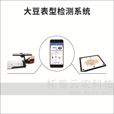 大豆表型檢測系統