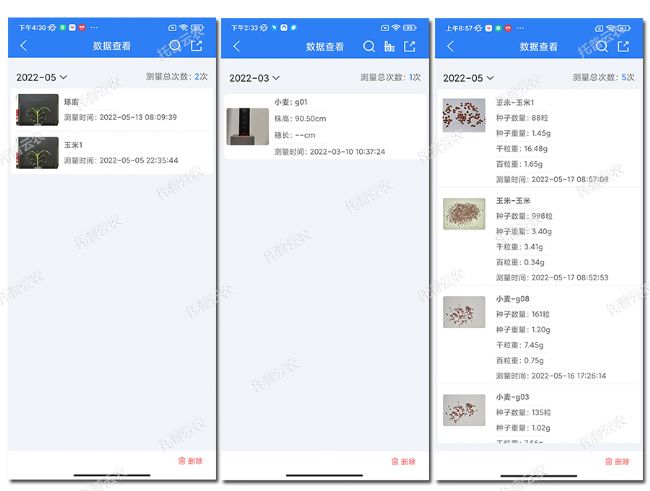 玉米表型檢測系統