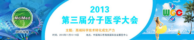 2013÷tW