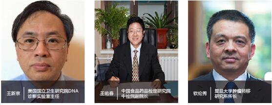 P4 China 2016H(zhn)t(y)ذvel(f)