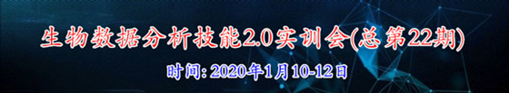 2.0Ӗ