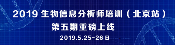 2019ϢӖվ